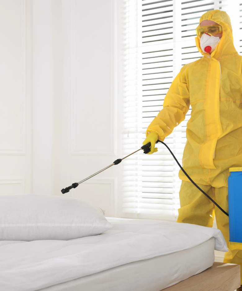 Professional Pest Control Team in Marryatville